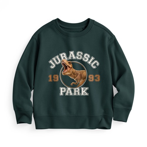 Jurassic World毛圈圓領衫-02-童